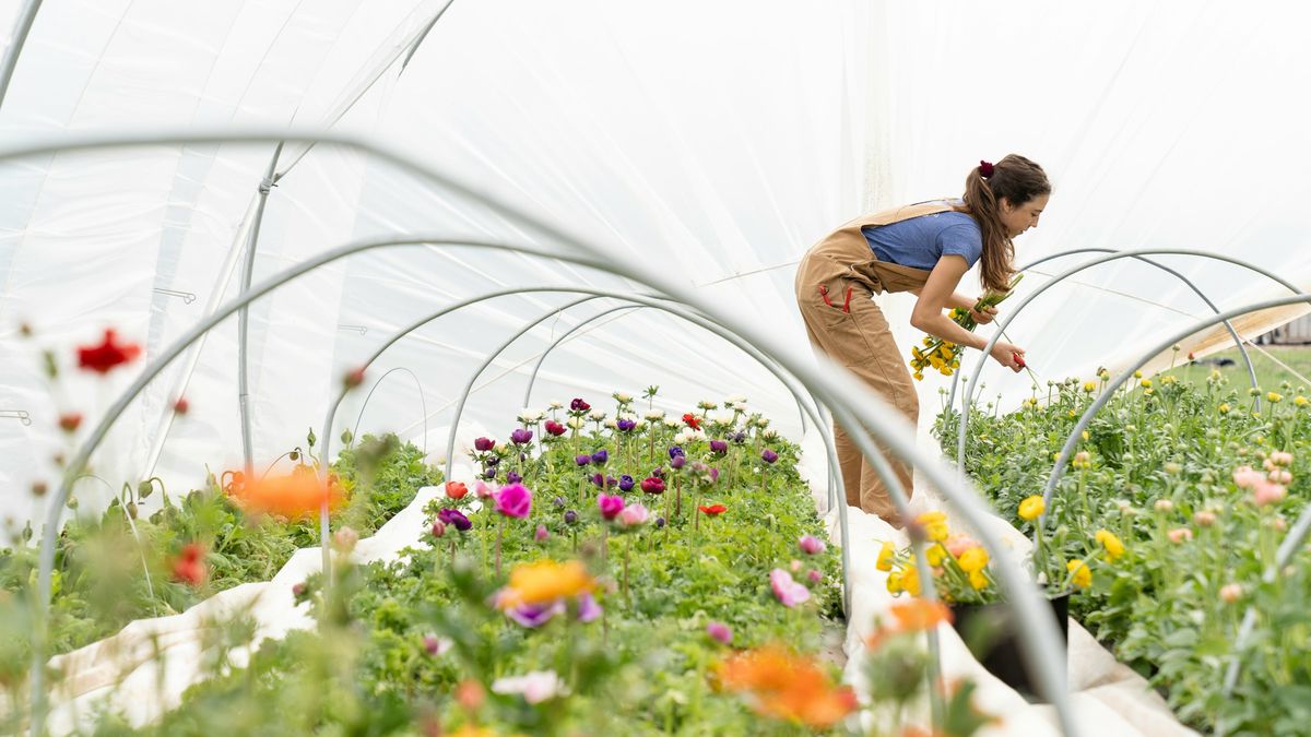 Eco-Friendly Flower Choices: Sustainable and Locally Grown Options