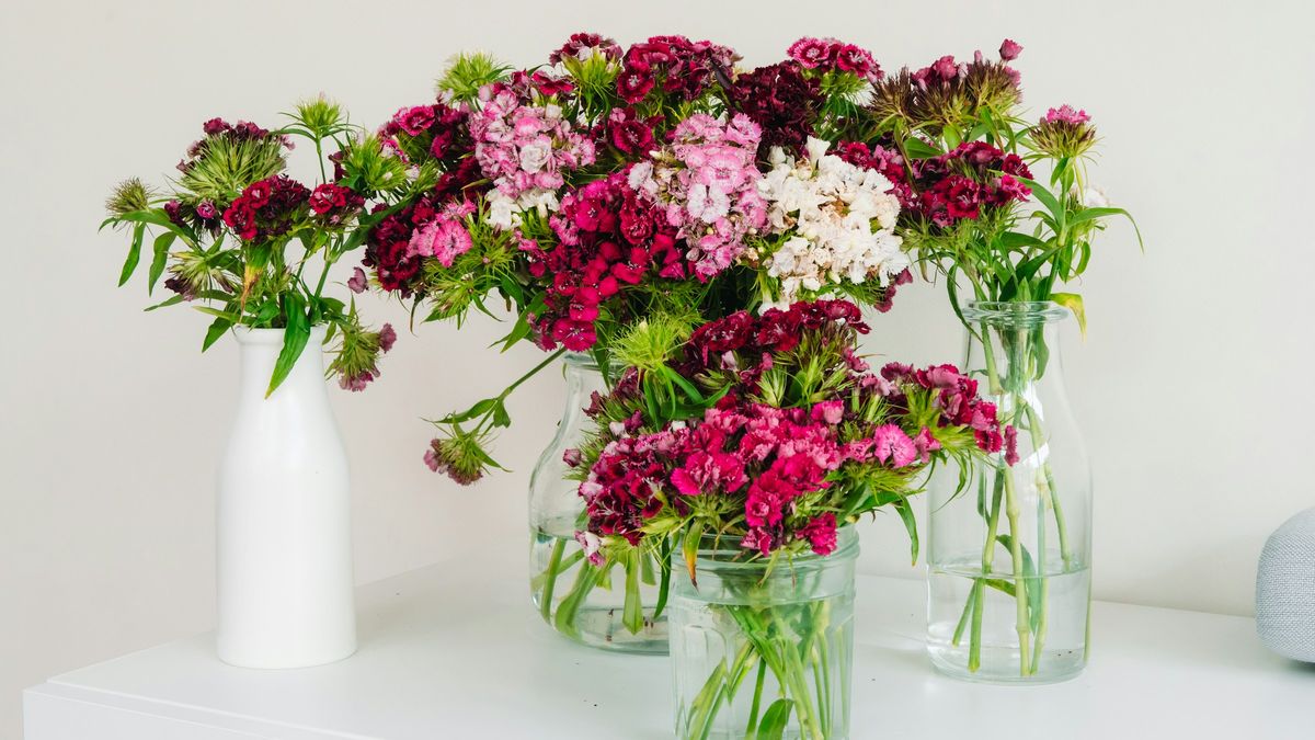 The Benefits of Having Fresh Flowers in Your Home or Office